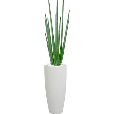 Medium Snake Grass With White Base