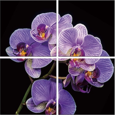 Purple Orchid Acrylic Wall Art