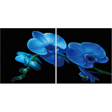 Blue Orchid Acrylic Wall Art