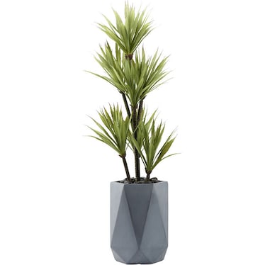 Yucca Tree in Grey Geometric Planter