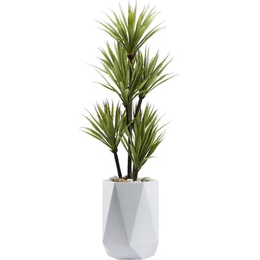 Yucca Tree in White Geometric Planter