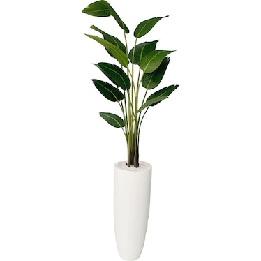 Romola Leaf Birds of Paradise in Round White Vase