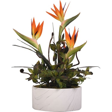 Birds of Paradise in Marble Ceramic Bowl