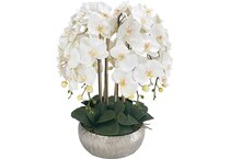  flowers do mrsv wt  