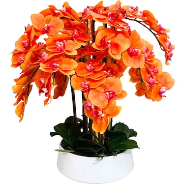 Maura Orange Orchid in White Ceramic Vase