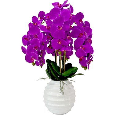 Purple Orchid On White Base