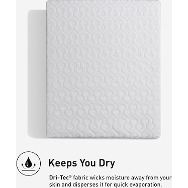 Dri-Tec Twin XL Mattress Protector