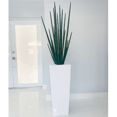 Dante Snake Grass in Square White Vase