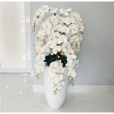 Greta White Orchid in White Vase