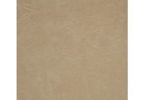 dchairs tan  