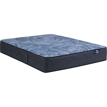 Euphoric Nights Firm Hybrid Full Mattress