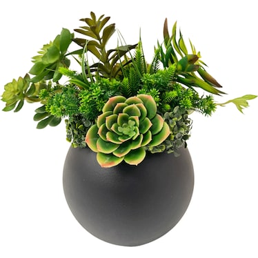 Serenity Table Plant