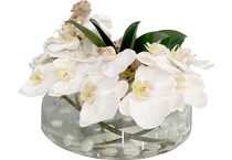 flowers do cv   