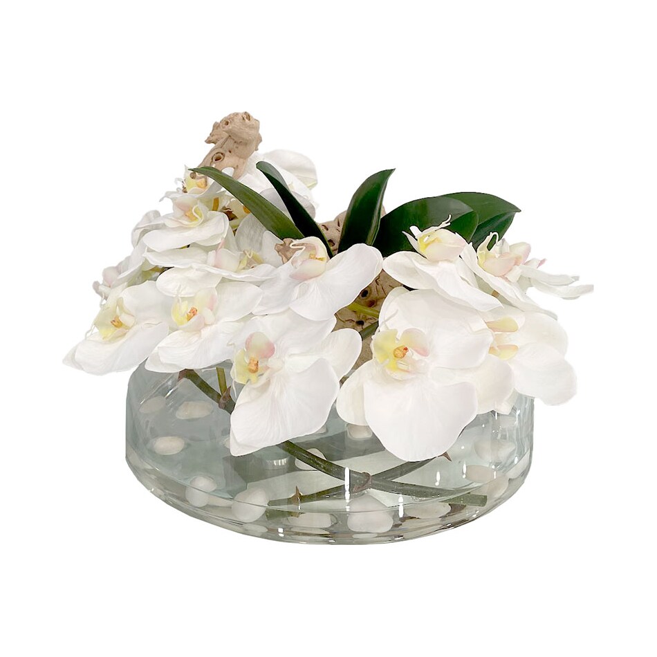 flowers do cv   
