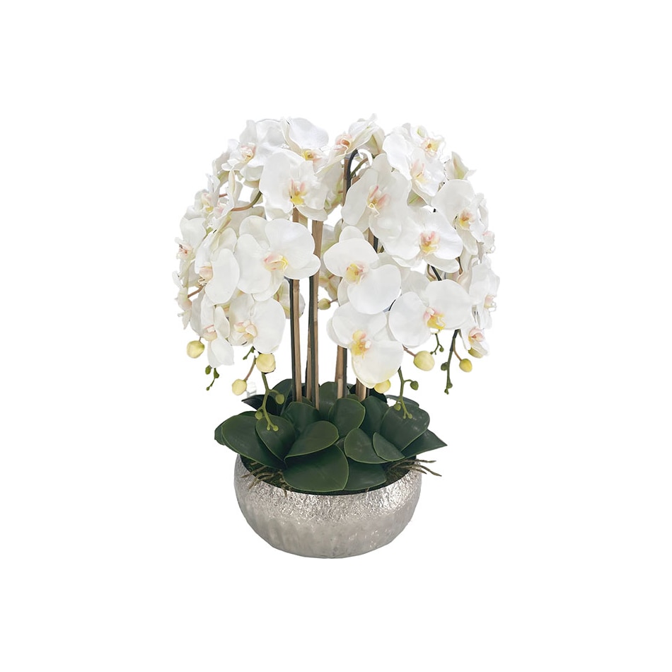 flowers do mrsv wt  