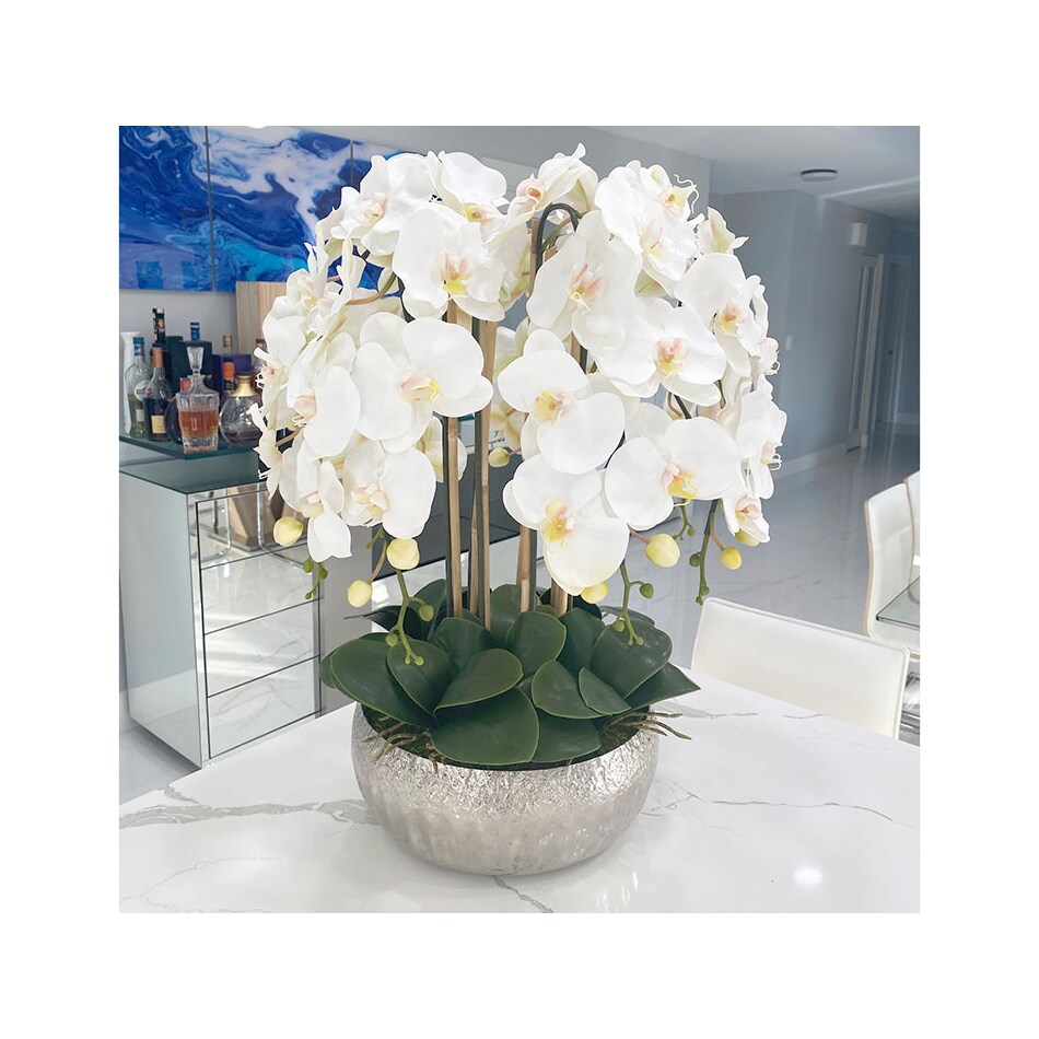 flowers do mrsv wt  