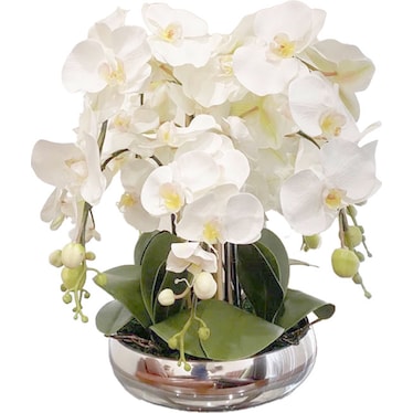 White Orchids In Silver Base
