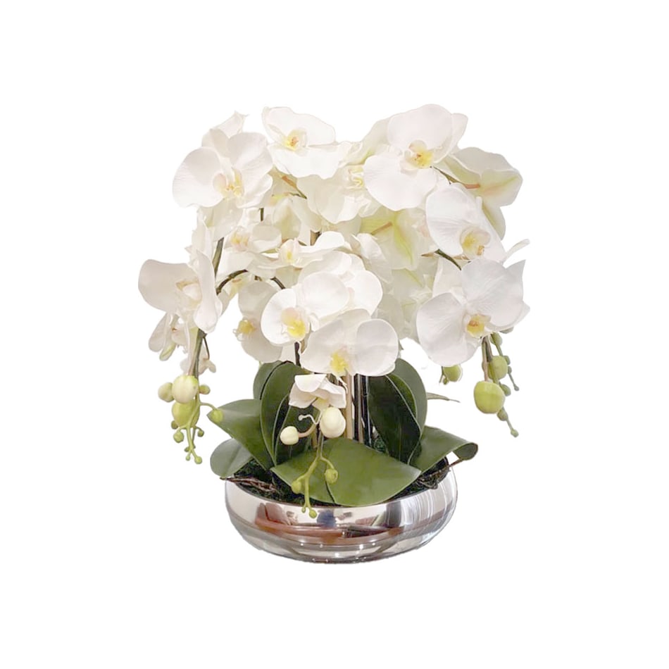flowers sb r wo  