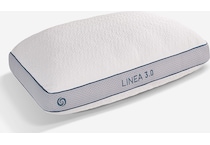 pillows bgpp  
