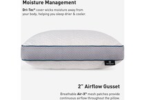 pillows bgpp  