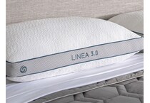 pillows bgpp  