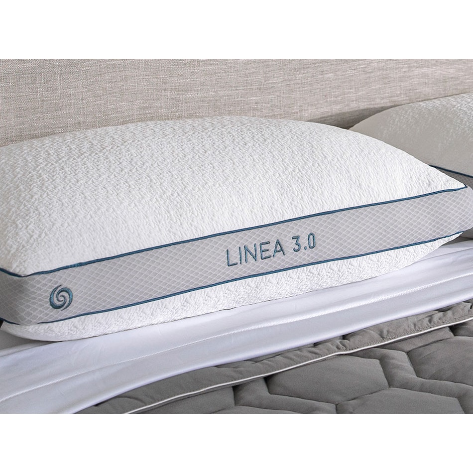 pillows bgpp  