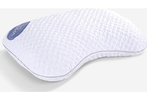 pillows bgpp  