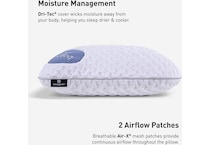 pillows bgpp  