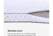 pillows bgpp  