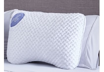 pillows bgpp  