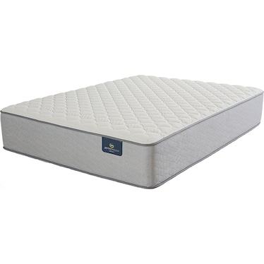 Presidential Suite Plush 2 Sided Queen Mattress