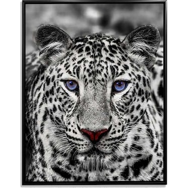 Blue Eyed White Tiger Canvas Wall Art