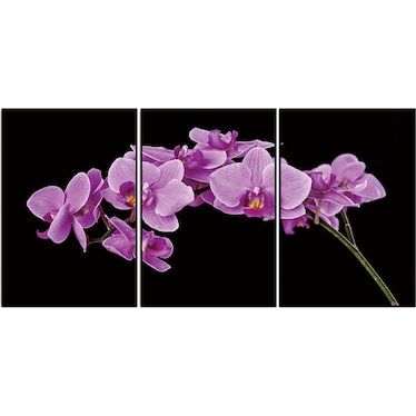 Purple Tender Orchid Acrylic Wall Art w/ Frame