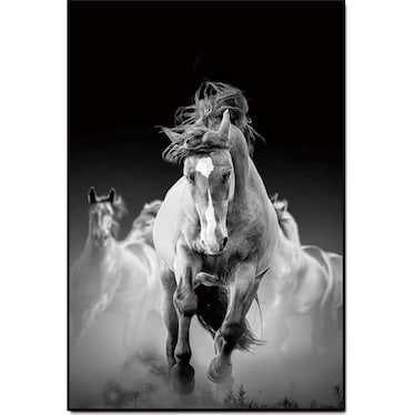 Wild Horse Acrylic Wall Art w/ Frame