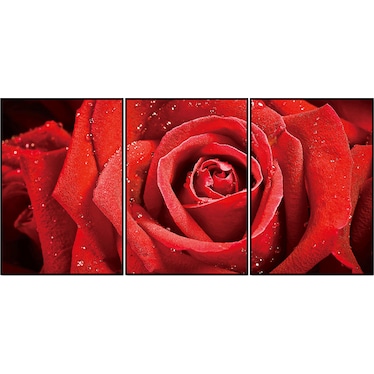 Red Rose Acrylic Wall Art w/ Frame